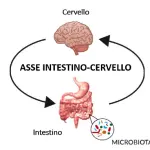 Cervello, intestino, microbiota intestinale e obesità