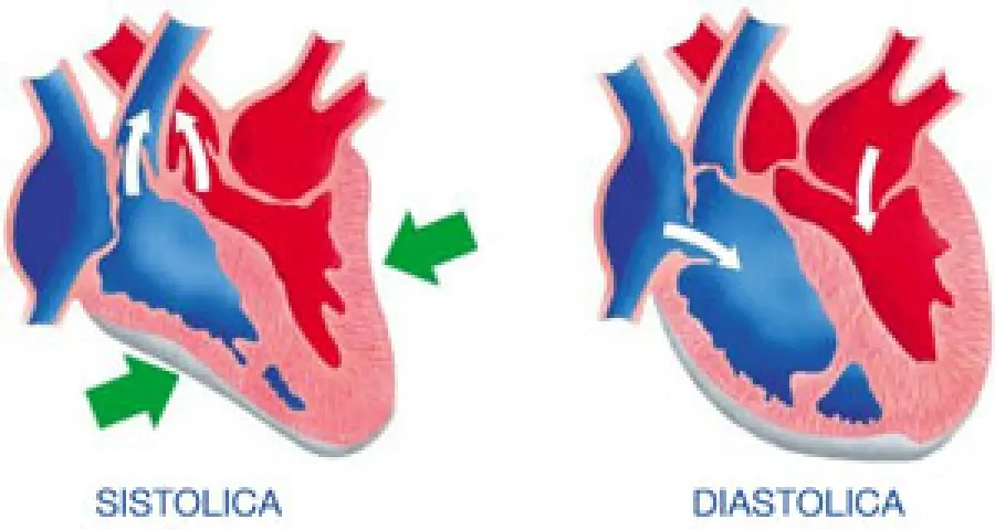 Valori pressione arteriosa: massima e minima ottimale. Pressione bassa, pressione alta e ipertensione