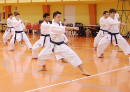 Arti Marziali: Qi Gong, Yoga, Karate, Taekwondo, Tai chi Chuan, Kung Fu, Judo