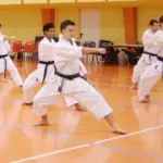 Arti Marziali: Qi Gong, Yoga, Karate, Taekwondo, Tai chi Chuan, Kung Fu, Judo