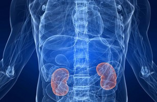 Cura tumore del rene: si può vivere bene anche con un rene solo