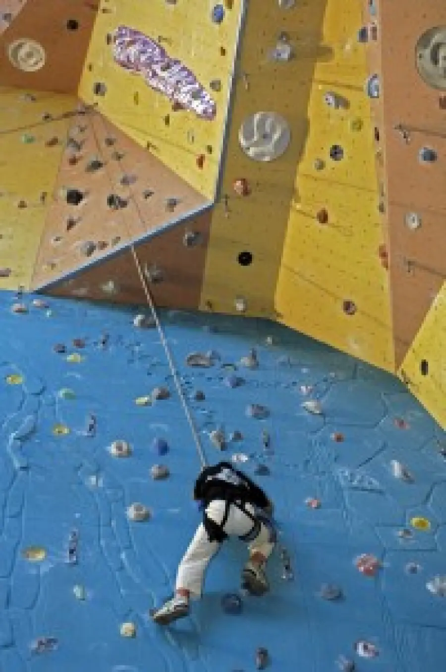 Corsi di arrampicata indoor in palestra, arrampicata sportiva, alpinismo, bouldering