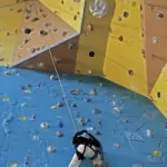 Corsi di arrampicata indoor in palestra, arrampicata sportiva, alpinismo, bouldering