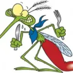 Rimedi zanzare: repellenti naturali e lenitivo per punture zanzare. Primo soccorso puntura api